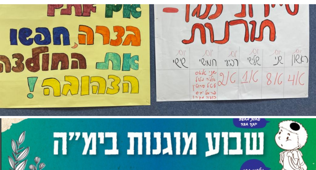 מדריכי מוגנות 2024 2
